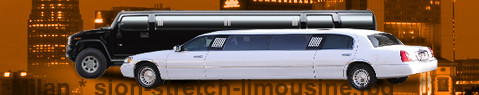 Private transfer from Milan to Sion with Stretch Limousine (Limo)