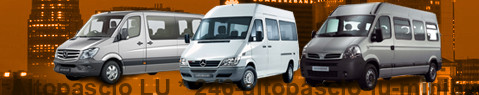 Minibus Altopascio LU | hire