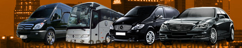 Transfer Service Collesalvetti