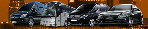 Transfer Service Mombercelli AT