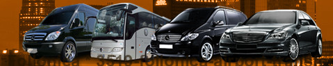 Transfer Service Follonica