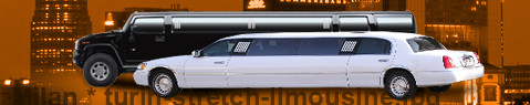 Private transfer from Milan to Turin with Stretch Limousine (Limo)